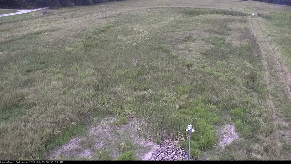 Cell 1_24-06-25_08-53-59-36