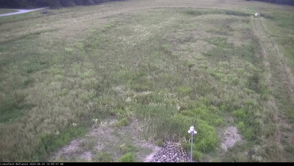 Cell 1_24-06-25_10-00-58-33