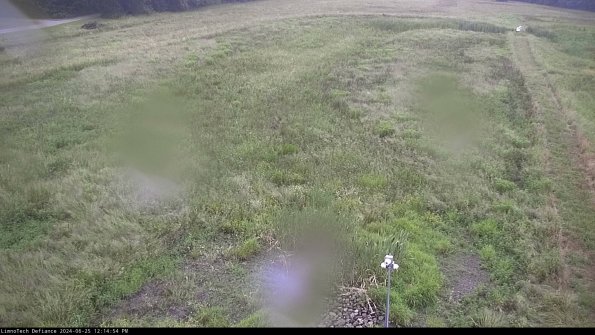 Cell 1_24-06-25_12-14-55-31