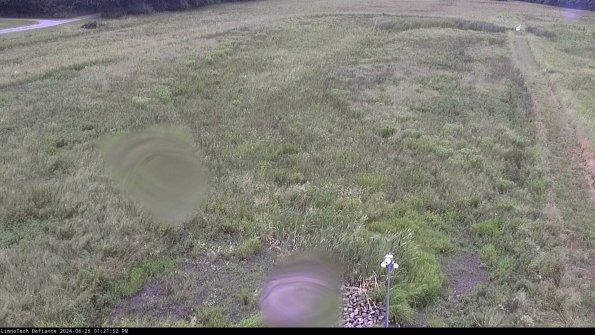 Cell 1_24-06-25_13-21-53-32