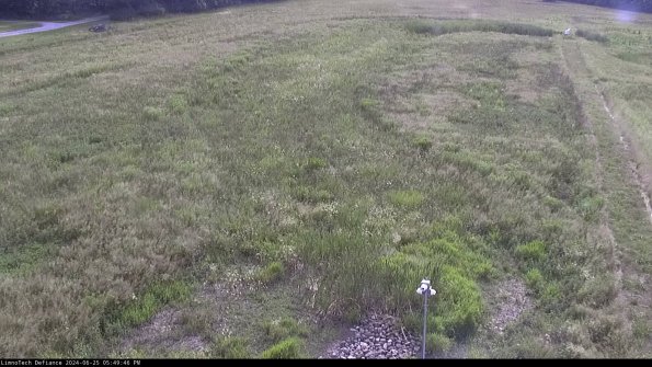 Cell 1_24-06-25_17-49-47-34