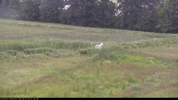 Cell 2 to 3_24-06-25_08-21-09-48