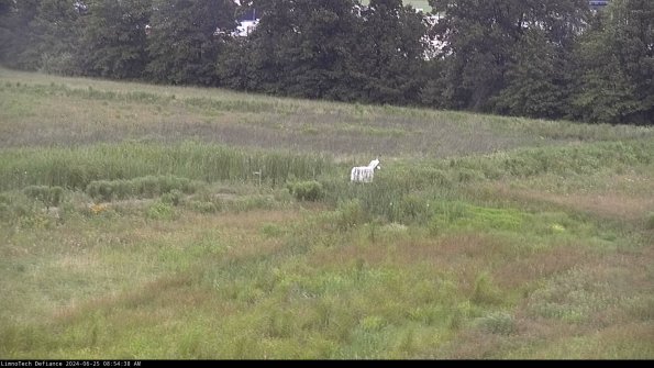 Cell 2 to 3_24-06-25_08-54-39-47