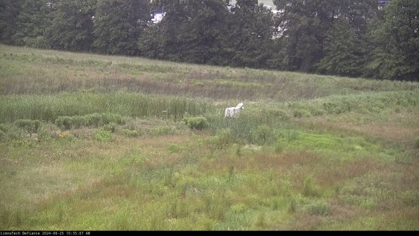 Cell 2 to 3_24-06-25_10-35-08-39