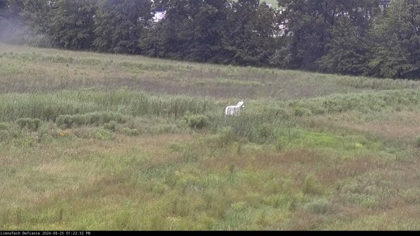 Cell 2 to 3_24-06-25_13-22-33-39