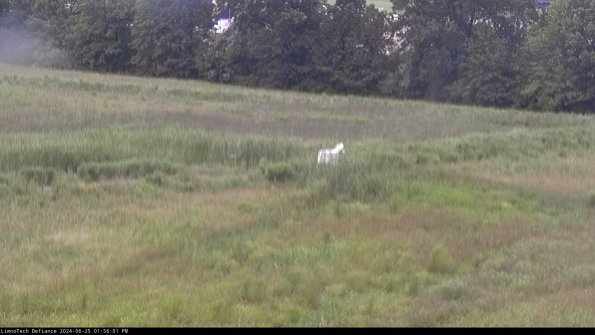 Cell 2 to 3_24-06-25_13-56-01-51