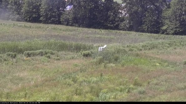 Cell 2 to 3_24-06-25_15-03-00-48