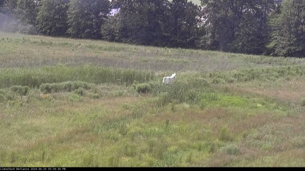 Cell 2 to 3_24-06-25_15-36-30-44