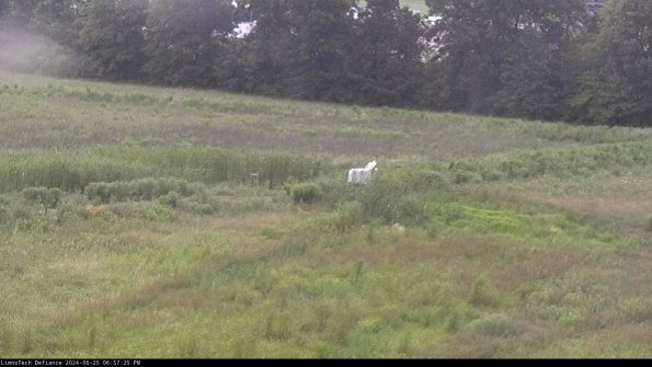 Cell 2 to 3_24-06-25_18-57-25-46