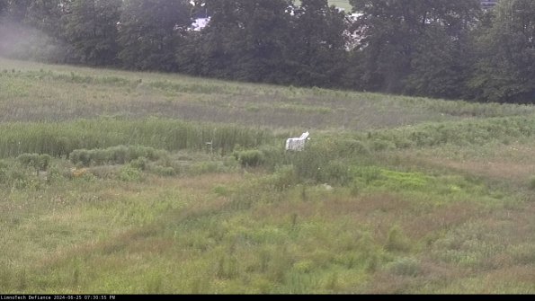 Cell 2 to 3_24-06-25_19-30-55-51