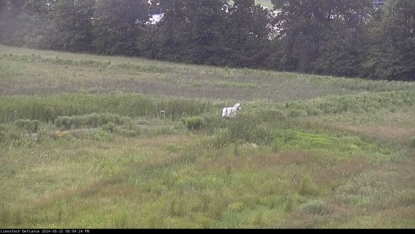 Cell 2 to 3_24-06-25_20-04-25-43