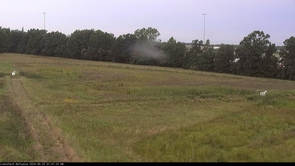 Cell 2_24-06-25_07-47-26-41