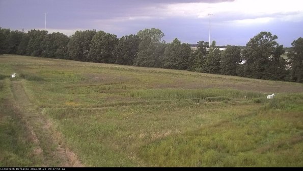 Cell 2_24-06-25_09-27-54-41