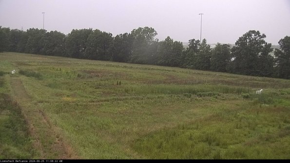 Cell 2_24-06-25_11-08-23-37