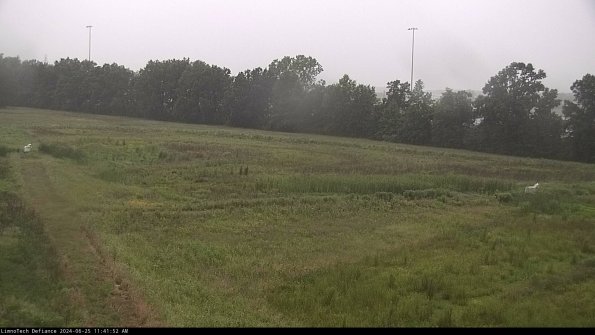 Cell 2_24-06-25_11-41-53-36