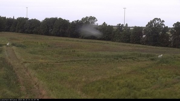 Cell 2_24-06-25_13-55-48-40