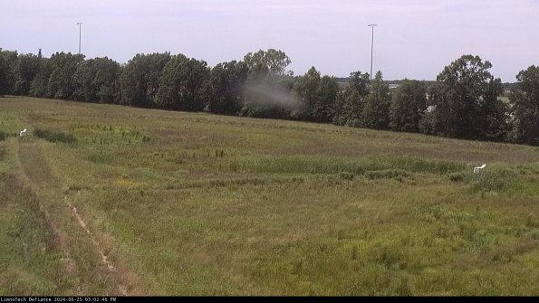 Cell 2_24-06-25_15-02-47-37