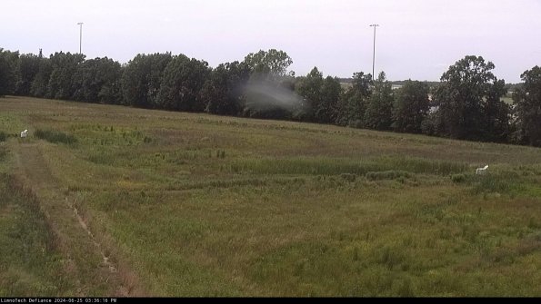 Cell 2_24-06-25_15-36-17-36