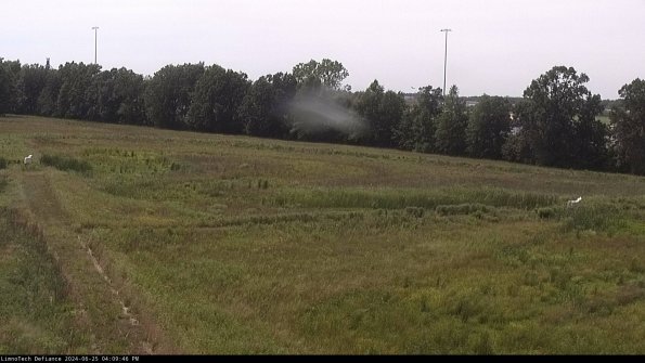 Cell 2_24-06-25_16-09-47-34