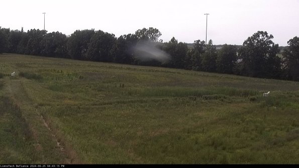 Cell 2_24-06-25_16-43-16-40