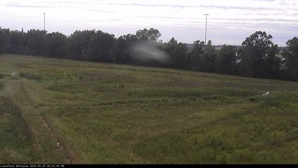 Cell 2_24-06-25_18-23-44-39