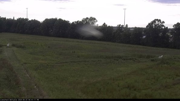 Cell 2_24-06-25_18-57-12-38