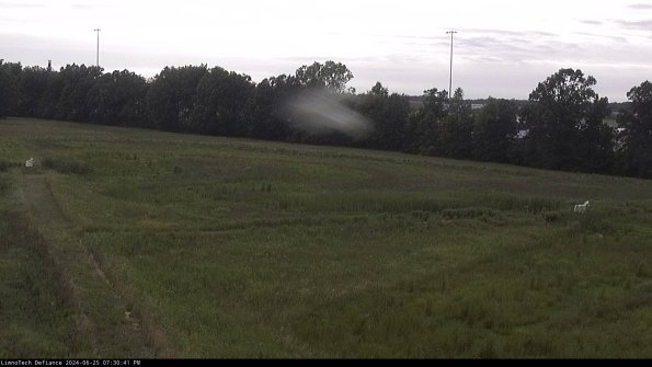 Cell 2_24-06-25_19-30-42-43