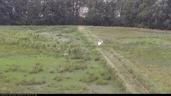 Cell 3 to 4_24-06-25_08-21-38-34