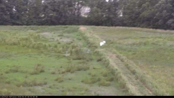 Cell 3 to 4_24-06-25_08-55-07-33