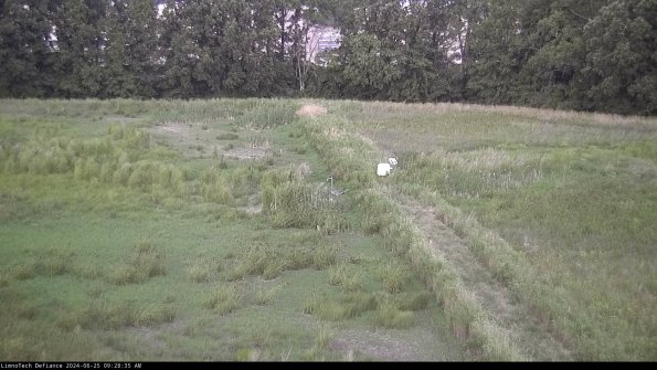 Cell 3 to 4_24-06-25_09-28-36-35