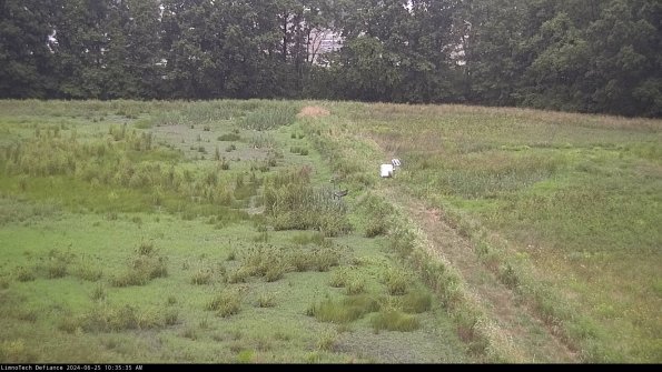 Cell 3 to 4_24-06-25_10-35-36-32