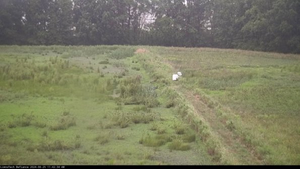 Cell 3 to 4_24-06-25_11-42-35-33