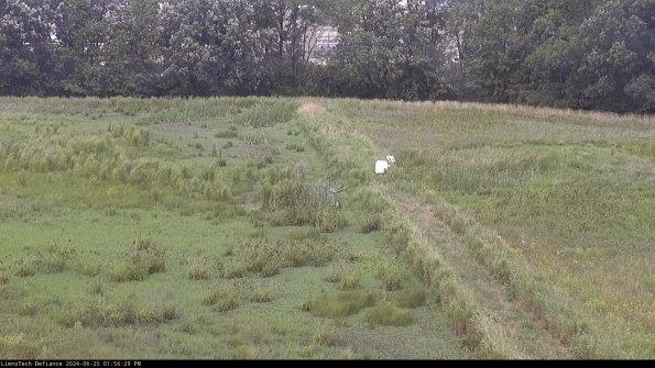 Cell 3 to 4_24-06-25_13-56-30-34