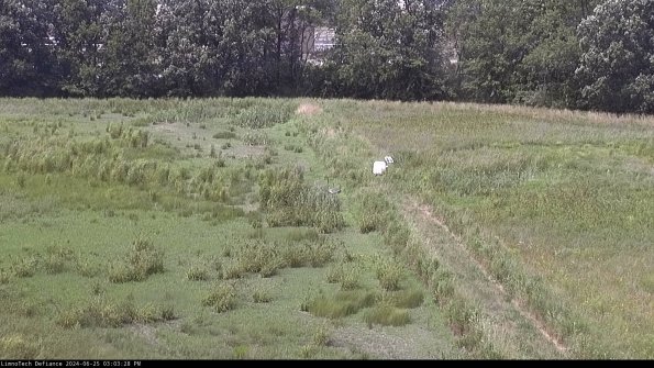 Cell 3 to 4_24-06-25_15-03-29-34