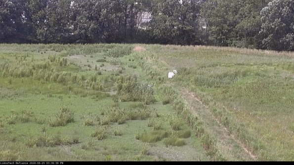 Cell 3 to 4_24-06-25_15-36-59-33