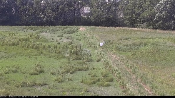 Cell 3 to 4_24-06-25_16-10-29-69