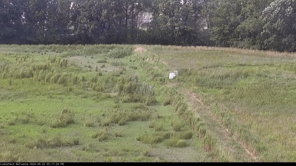 Cell 3 to 4_24-06-25_17-17-27-33