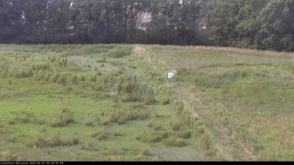 Cell 3 to 4_24-06-25_17-50-56-31