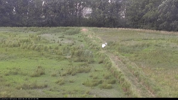 Cell 3 to 4_24-06-25_18-57-54-32