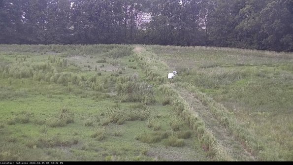 Cell 3 to 4_24-06-25_20-38-23-35