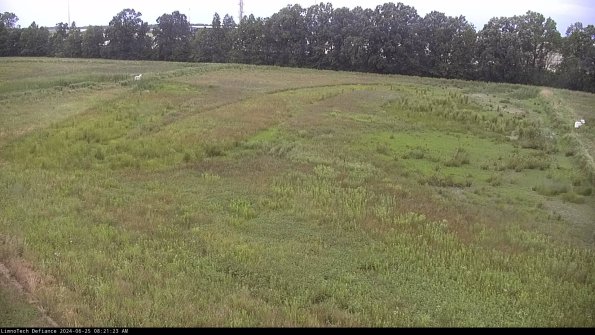 Cell 3_24-06-25_08-21-24-33