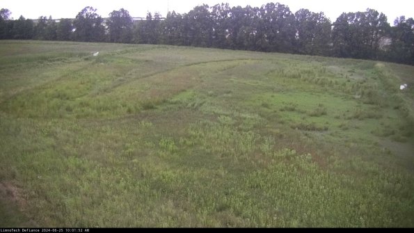 Cell 3_24-06-25_10-01-53-32