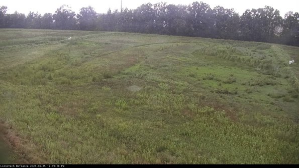 Cell 3_24-06-25_12-49-19-35