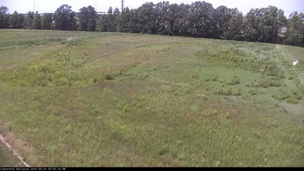 Cell 3_24-06-25_15-03-15-33