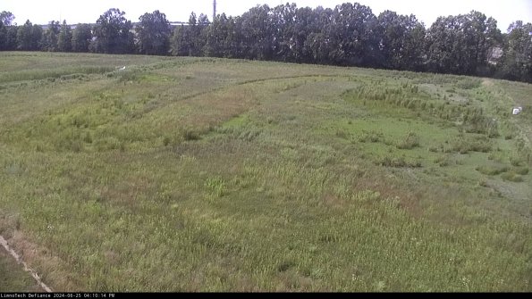 Cell 3_24-06-25_16-10-15-34