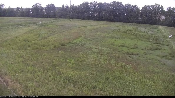 Cell 3_24-06-25_19-31-10-36