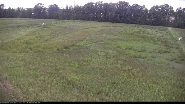 Cell 3_24-06-25_20-04-40-35