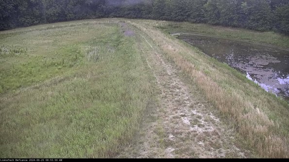 Cell 4 to Basin_24-06-25_08-55-51-34