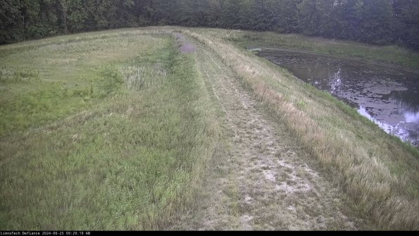 Cell 4 to Basin_24-06-25_09-29-20-36