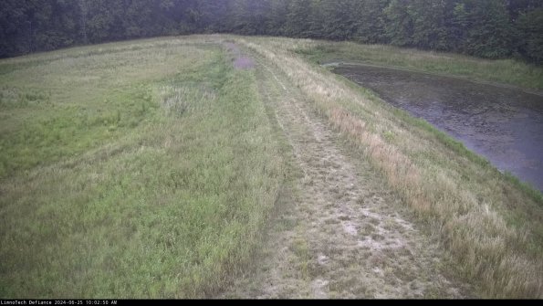 Cell 4 to Basin_24-06-25_10-02-51-31